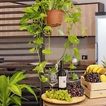 Frühstückspension Neapolis Lifestyle Neapel